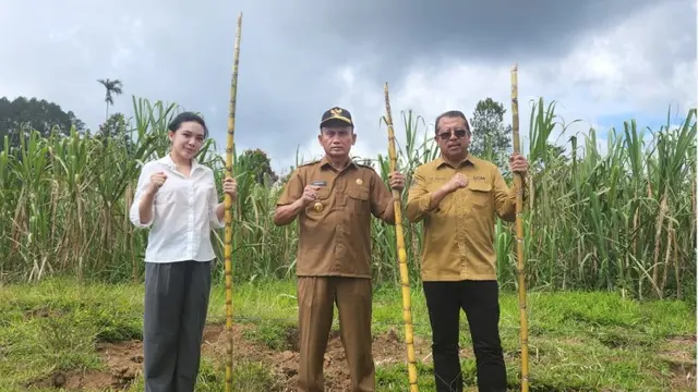 Penyuluhan untuk Petani Tebu Kabupaten Agam: Sinergi Koperasi Kana dan UGM Dukung Pertanian Berkelanjutan