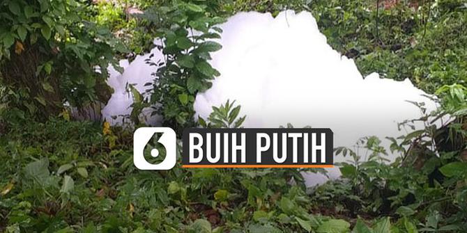VIDEO: Viral Fenomena Buih Putih Muncul di Kebun Warga