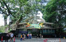 Pemkot Bandung Alokasikan Rp568 Juta untuk Gaji Karyawan Bandung Zoo Selama Masa Transisi