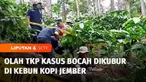 Tim INAFIS Polres Jember, Jawa Timur, kembali menggelar olah TKP di tempat penemuan jenazah bocah yang dikubur di kebun kopi. Olah TKP kedua ini dilakukan untuk memastikan tidak ada lagi barang bukti yang tertinggal.
