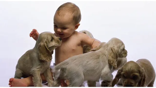 Foto : copyright listverse.com