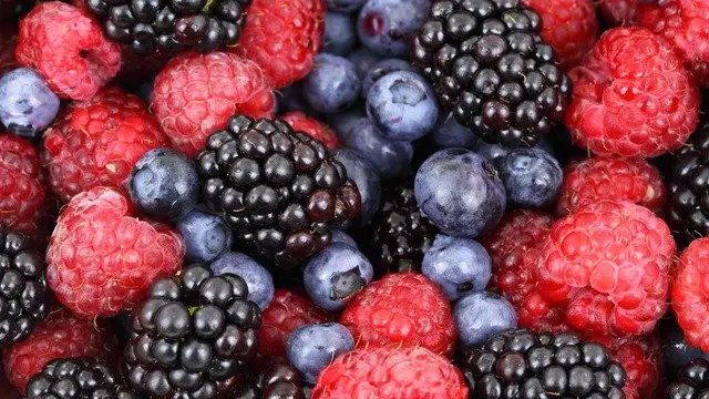 Buah Berry