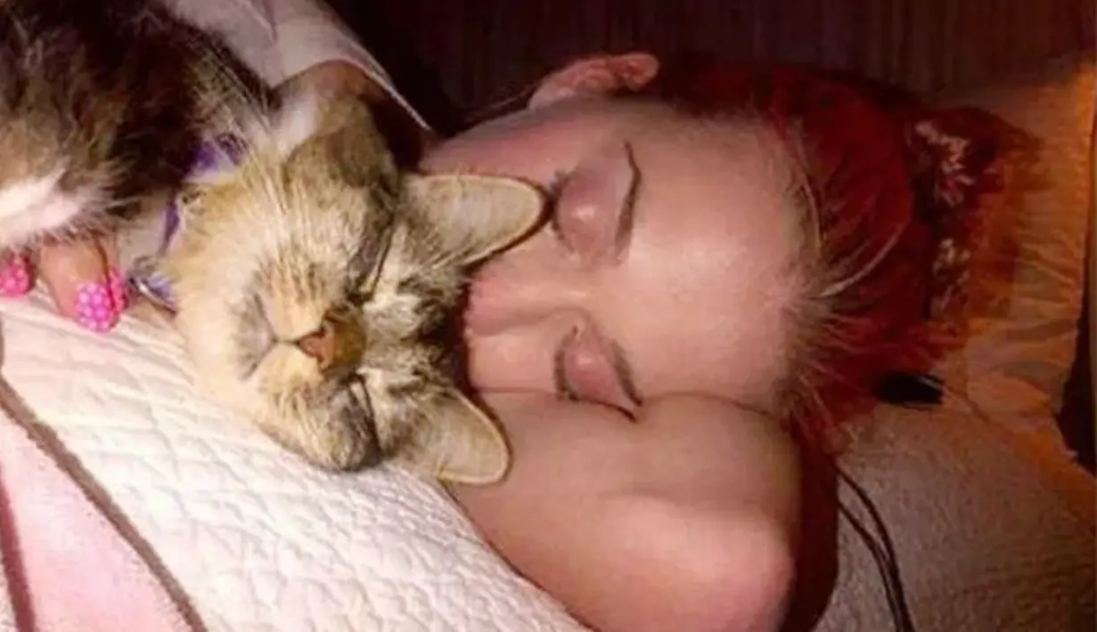 Bikin gemas! Ini saat Katy Perry tidur bersama dengan kucingnya. (HollywoodLife)