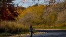 Seorang nelayan melemparkan pancingnya saat dia memancing ikan trout di Credit River di antara warna-warni musim gugur di Mississauga, Ontario, pada Kamis, 27 Oktober 2022. (Nathan Denette/The Canadian Press via AP)