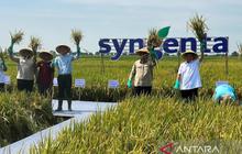 Tahukah Anda? Bappenas Dorong Petani Milenial Gunakan Drone untuk Swasembada Pangan Modern