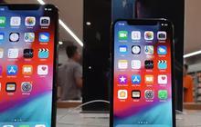 Mengungkap Alasan di Balik Ketidakhadiran iPhone 9