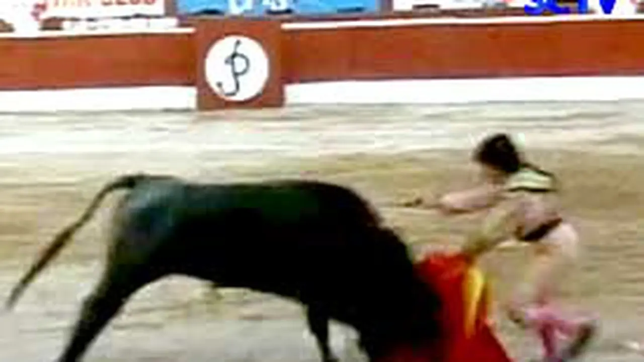 090127dmatador.jpg