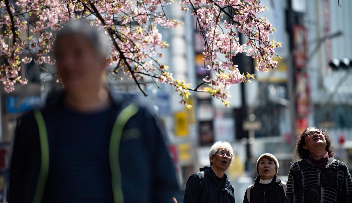 Warga melihat pohon sakura sakura di taman Ueno, Tokyo, Jepang (12/3/2020). Di tengah kekhawatiran akan penyebaran virus corona COVID-19, Ahli meteorologi memprediksi bunga sakura mulai mekar sekitar 17 Maret di Tokyo.  (AFP/Philip Fong)