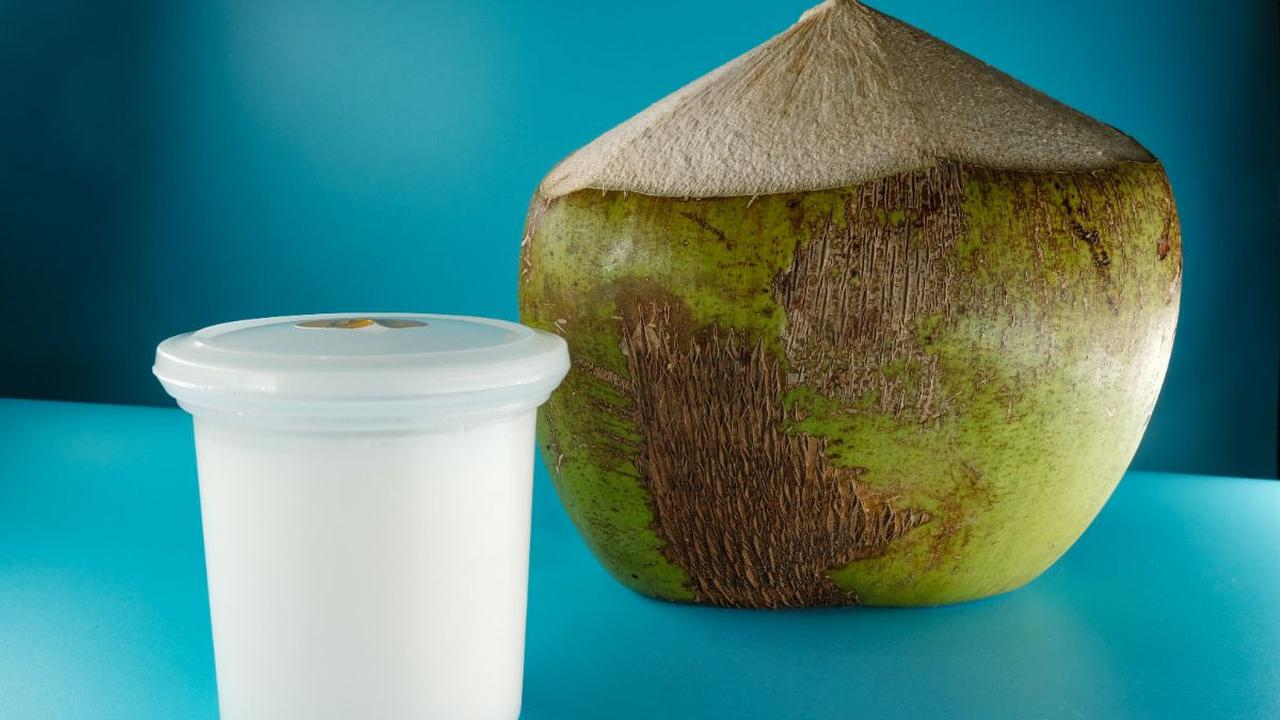 <b>5. Buah Kelapa</b><br>