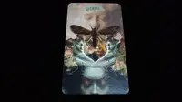 Tarot Cinta: Saatnya Berubah Jadi Lebih Baik