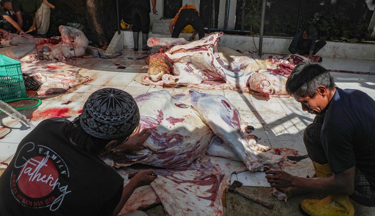 Petugas memotong dan membersihkan daging sapi kurban di Masjid Sunda Kelapa, Jakarta, Rabu (27/5/2026). (merdeka.com/Arie Basuki)