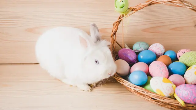 Easter Bunny
