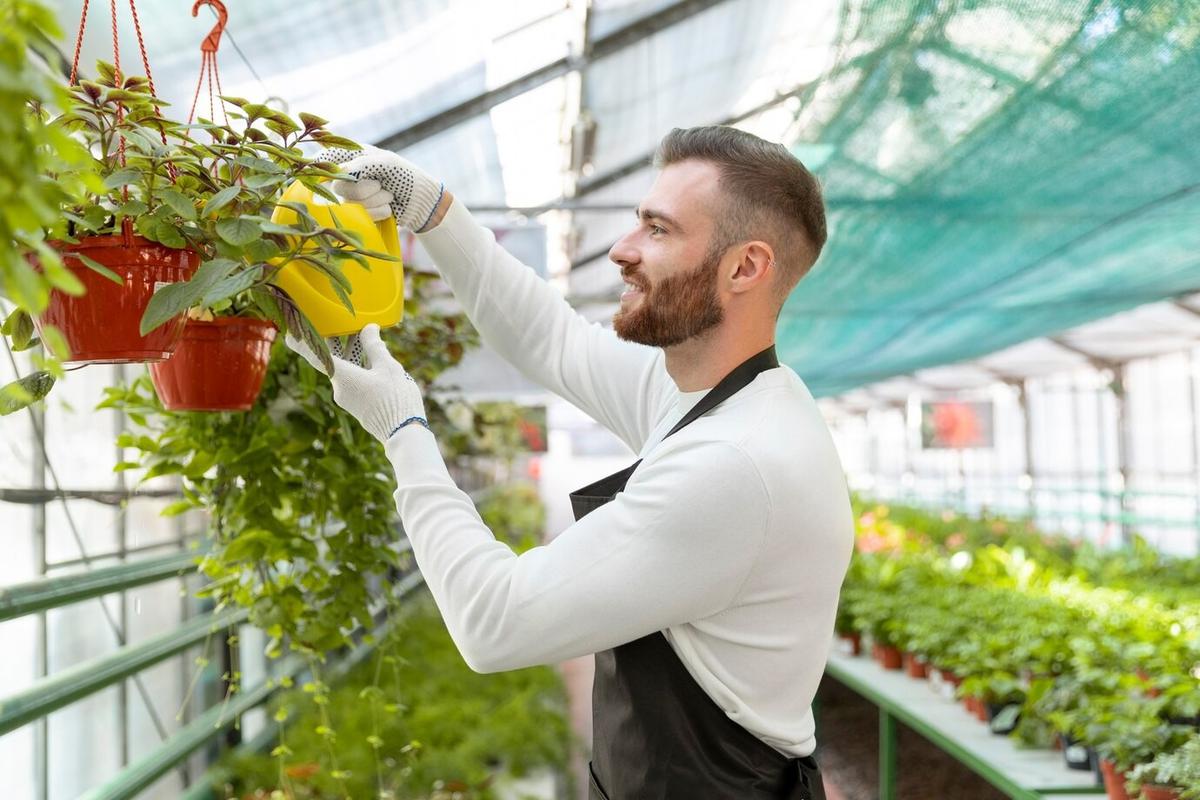 Ilustrasi Rooftop Garden