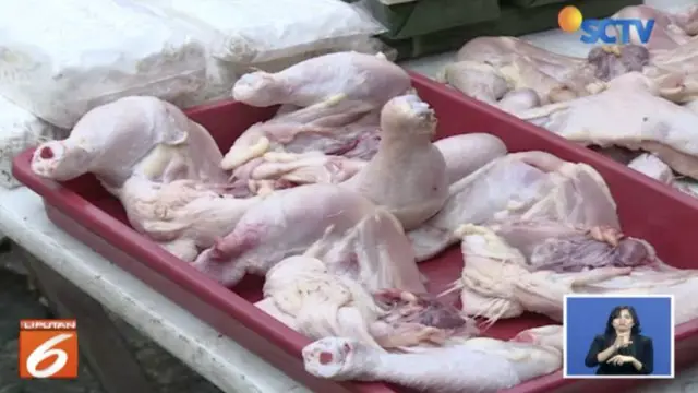 Idul Fitri Berlalu, Harga Ayam dan Telur Tetap Melambung Tinggi