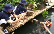 Fluidra Perkuat Komitmen Lingkungan, Lindungi Mangrove PIK sebagai Investasi Berkelanjutan