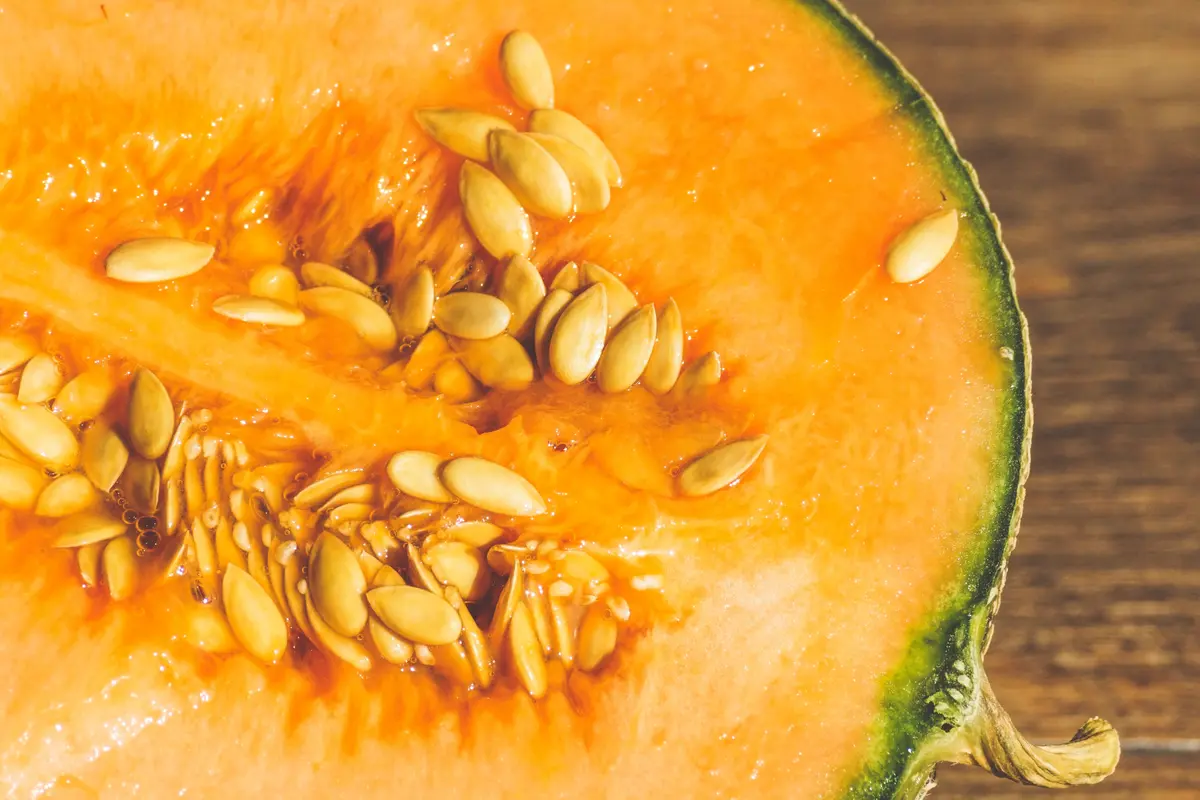 Melon