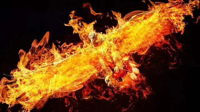 Ilustrasi burung phoenix