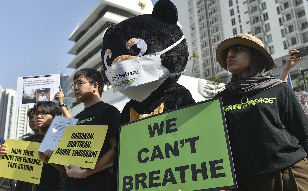 Greenpeace Malaysia Gelar Aksi Damai Desak Indonesia Buka Data Karhutla
