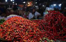 Harga Cabai Rawit Merah Tembus Rp100 Ribu per Kg, Ternyata Ini Penyebabnya