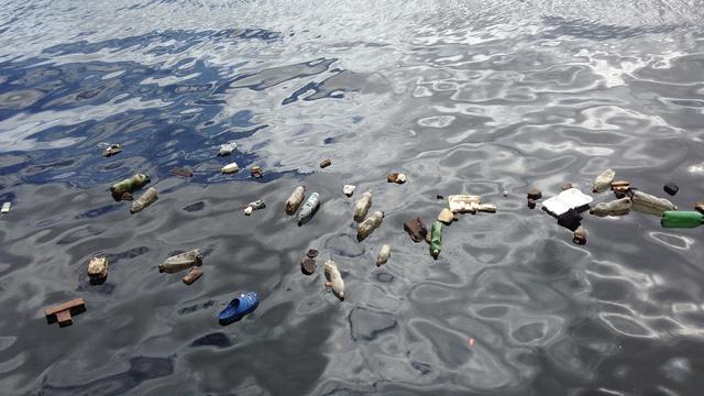 Ilustrasi Eutrofikasi