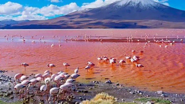 7 Pemandangan Alam Paling Berwarna-Warni di Dunia, Manjakan Mata