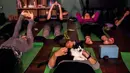 Seekor kucing duduk di atas peserta selama kelas yoga bersama kucing  di kafe kucing Brooklyn, New York, Rabu (13/3). Kafe ini menawarkan tempat latihan yoga dengan ditemani kucing-kucing menggemaskan. (REUTERS/Jeenah Moon)