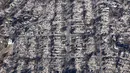 Lebih dari 12.000 bangunan telah hancur atau rusak, sementara lebih dari 35.000 hektar telah terbakar. (MARIO TAMA/GETTY IMAGES NORTH AMERICA/Getty Images via AFP)