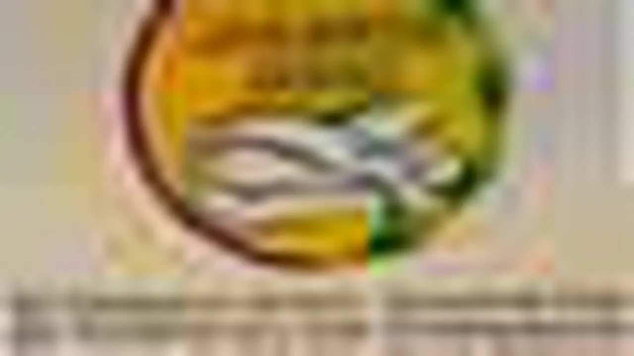 151000ipuT.jpg