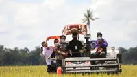 Menteri Pertanian Syahrul Yasin Limpo (Mentan SYL) melakukan panen raya padi di lahan seluas 1.000 hektar (ha) sekaligus melakukan gerakan serap gabah petani di Desa Je’netaesa, Kecamatan Simbang Kabupaten Maros, Sabtu (20/3/2021).