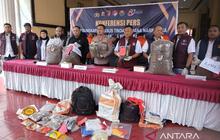 Polda Papua Amankan 38 Kg Ganja dan Ratusan Pohon Selama Semester I