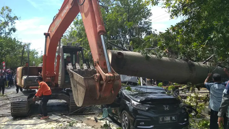 Cerita Penumpang Transportasi Online Cirebon Lolos Dari Pohon Tumbang