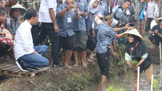 Presiden Jokowi Tinjau Gerakan Musim Tanam di Garut