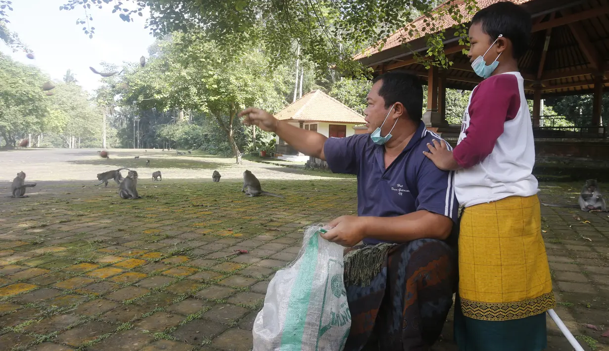 Warga memberi makan kera dengan makanan yang mereka bawa ke Sangeh Monkey Forest, Bali, pada 1 September 2021. Monyet-monyet di Sangeh Monkey Forest mulai mendatangi pemukiman warga, karena wisatawan yang biasanya memberi mereka makanan tidak kunjung terlihat selama pandemi. (AP/Firdia Lisnawati)