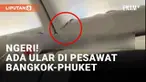 Momen mengerikan terjadi di dalam pesawat AirAsia rute Bangkok-Phuket (13/1/2024). Seekor ular kecil muncul di langit-langit kabin pesawat hingga membuat para penumpang cemas. Kecemasan tersebut segera diredakan oleh sejumlah kru.