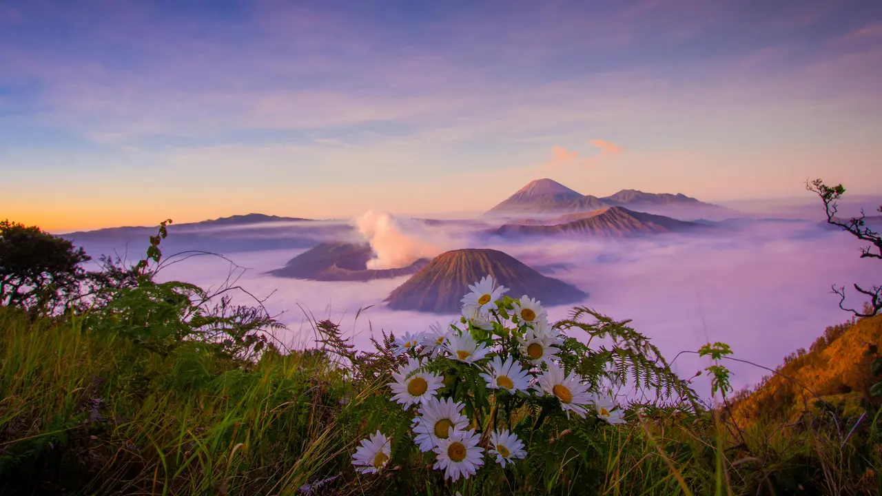 gunung bromo yang indah membuat jatuh cinta