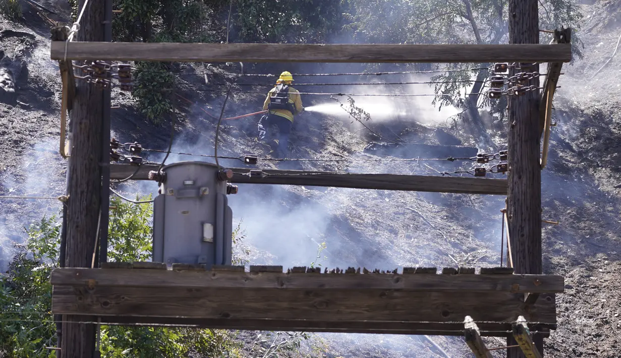 Pihak berwenang pertama kali diberitahu tentang kobaran api sekitar pukul 13:30. dekat blok 1600 Laurel Canyon Boulevard. (AP Photo/Damian Dovarganes)
