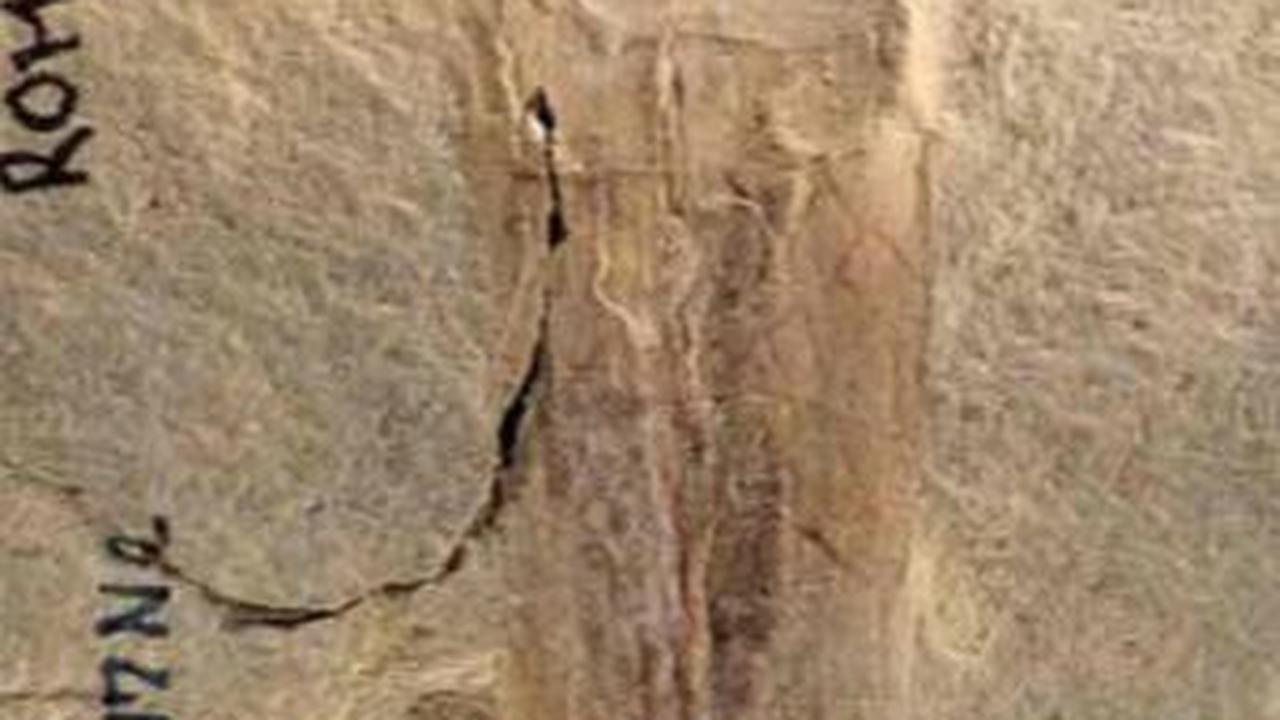Ilmuwan Temukan Fosil Berusia 330 Juta Tahun di Dalam Laci, Ternyata Makhluk yang Lebih Dulu Berkuasa di Bumi Jauh Sebelum Dinosaurus