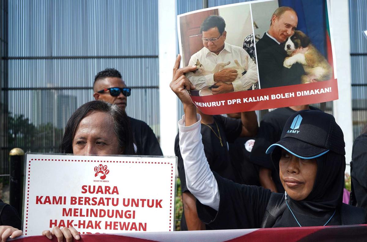 Aktivis Hewan Luapkan Kekecewaan RUU Perlindungan Anjing-Kucing Gagal Masuk RUU Prolegnas