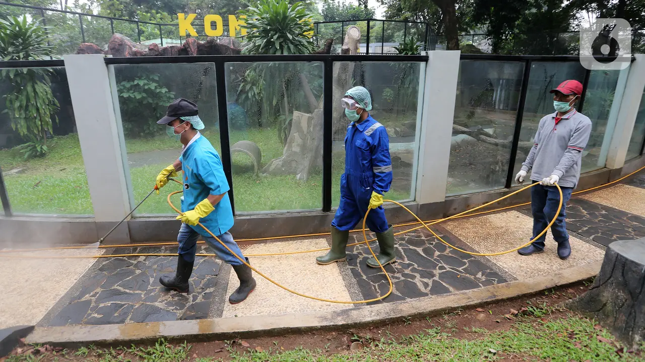 Aksi Petugas Semprotkan Disinfektan Cegah COVID-19 di TMII