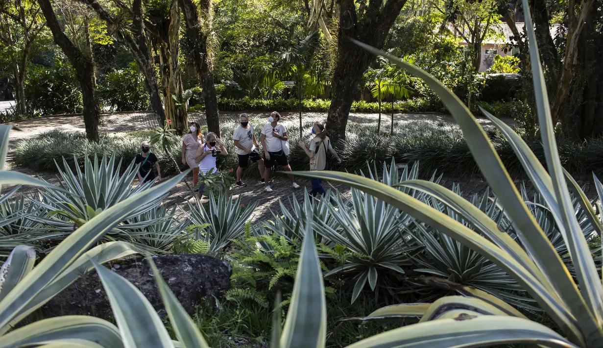 Pengunjung berjalan di taman selama tur ke situs Roberto Burle Marx, yang masuk kedalam daftar situs warisan dunia UNESCO, di Rio de Janeiro, Brasil, pada 27 Juli 2021. Situs tersebut diketahui memiliki sekitar 3.500 spesies tumbuhan, dengan mayoritas tanaman tropis asli Rio. (AP Photo/Mario Lobao)