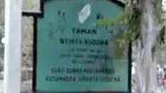 liputan6