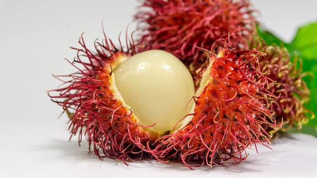 Ilustrasi rambutan.