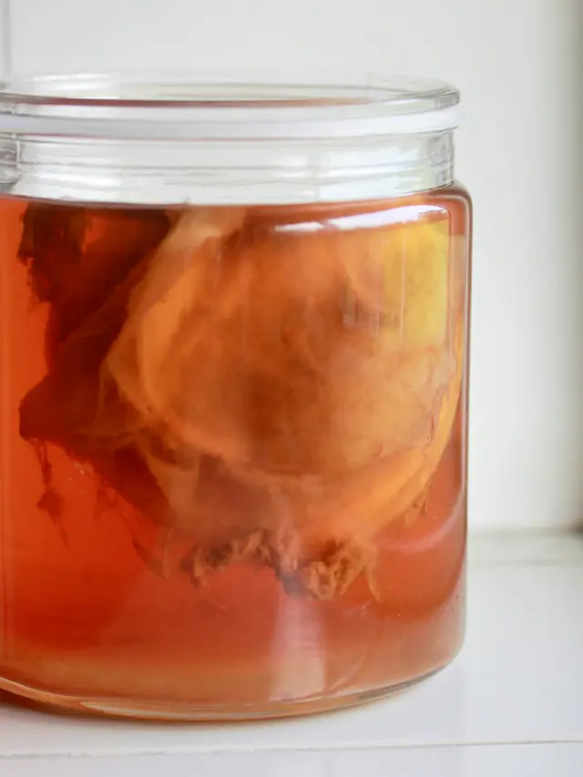 Kombucha: Minuman Fermentasi yang Masih Populer di 2025 dan Manfaatnya