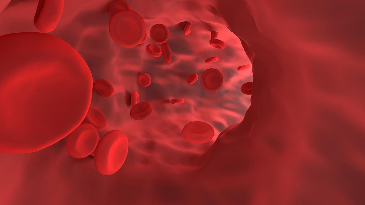 Fungsi Hemoglobin Dalam Darah