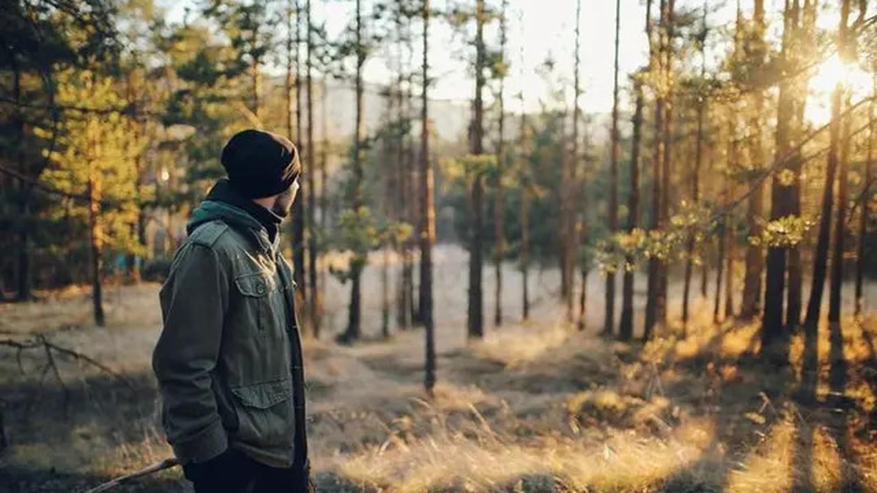 Tanda-Tanda Orang dengan IQ Tinggi dan Mental Kuat yang Perlu Anda Ketahui