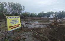 Duduk Perkara Kasus Penerbitan SHM Lahan Mangrove di Kuri Lompo Maros, Sudah Ada yang Jadi tersangka