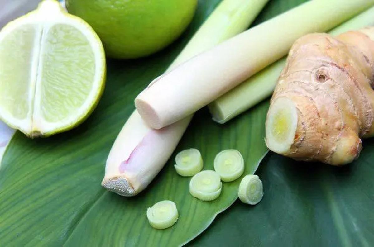 Resep dan Khasiat Serai dan Kemangi, Minuman Herbal Penurun Kolesterol