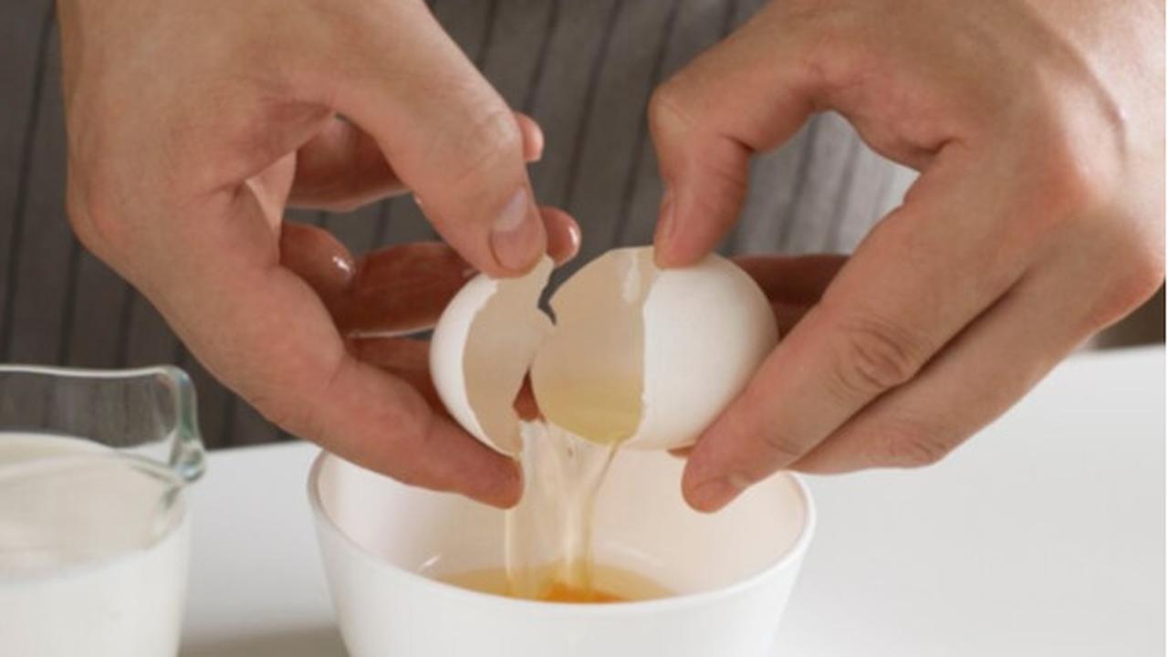 kandungan nutrisi kuning telur