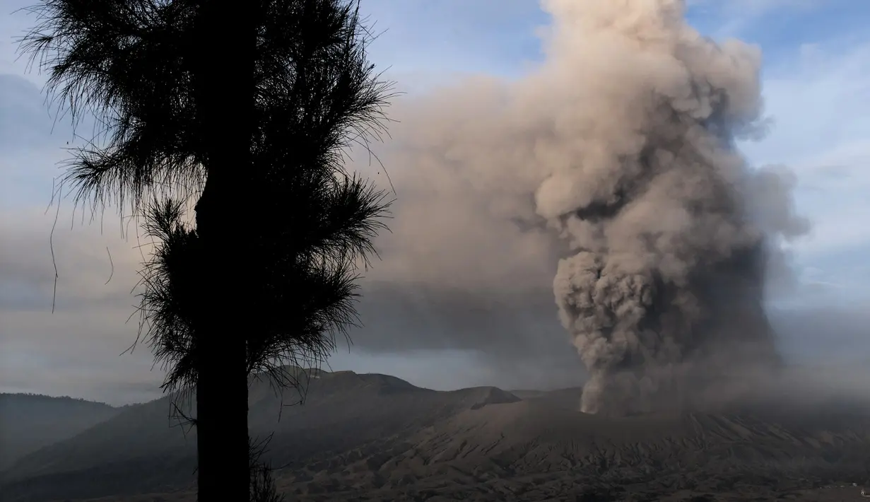 Gunung Bromo memuntahkan abu vulkanik ke udara di Probolinggo, Jawa Timur, Rabu (13/7). Bandara Abdul Rahman Saleh, Malang, sempat ditutup akibat erupsi Gunung Bromo yang membawa abu vulkanik ke arah barat-barat daya. (BAY Ismoyo/AFP)