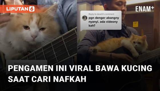 VIDEO: Bawa Kucing Saat Cari Nafkah, Pengamen Ini Viral dan Jadi Perbincangan Netizen